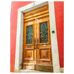 Brown Door No 14 12 x 16