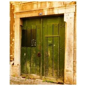 Green Door 14 16x20 Artwork