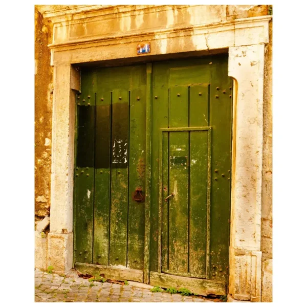 Green Door 14 16x20 Artwork