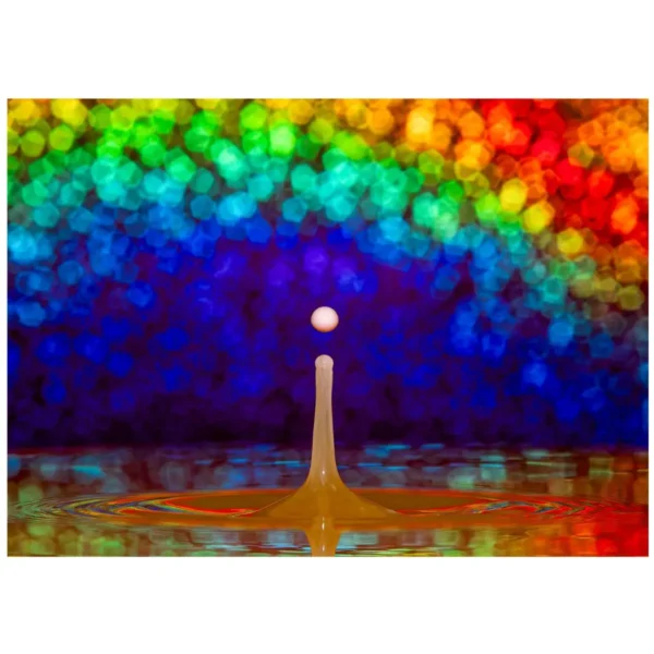 The Drop